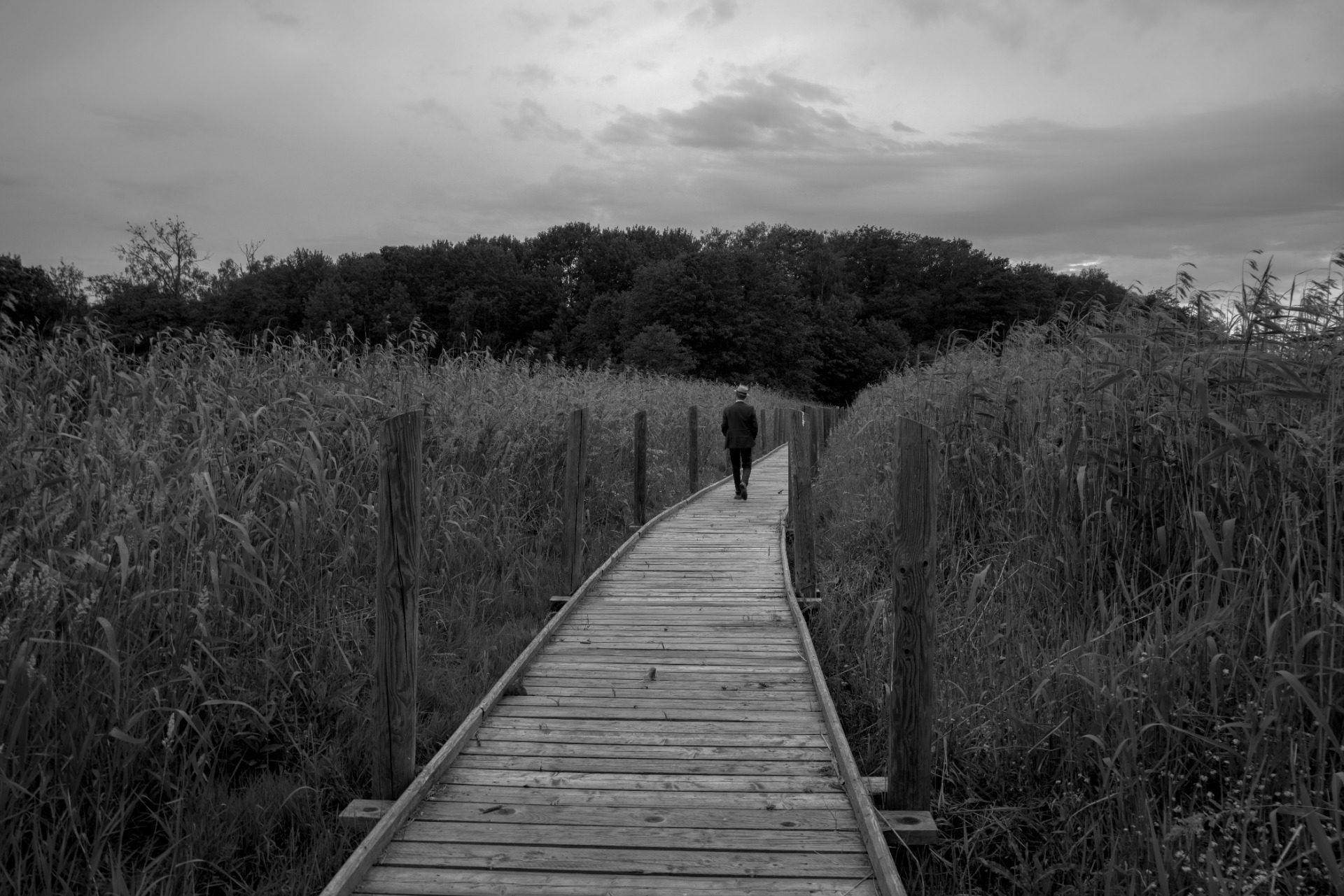 (C) Pippa Sieppala Photography